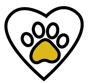 iconos 02
