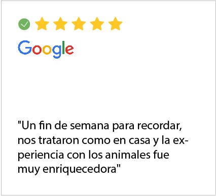 sin título 1 02